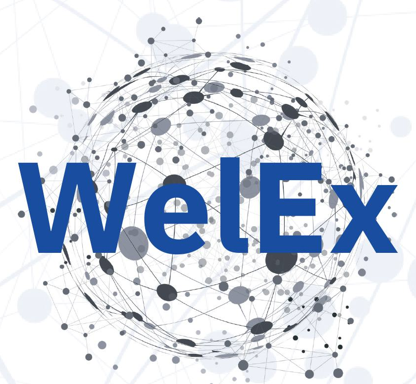 Flyer_WelEx_1.png