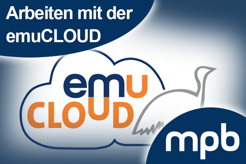 bild_angebot_EMUCLOUD.png