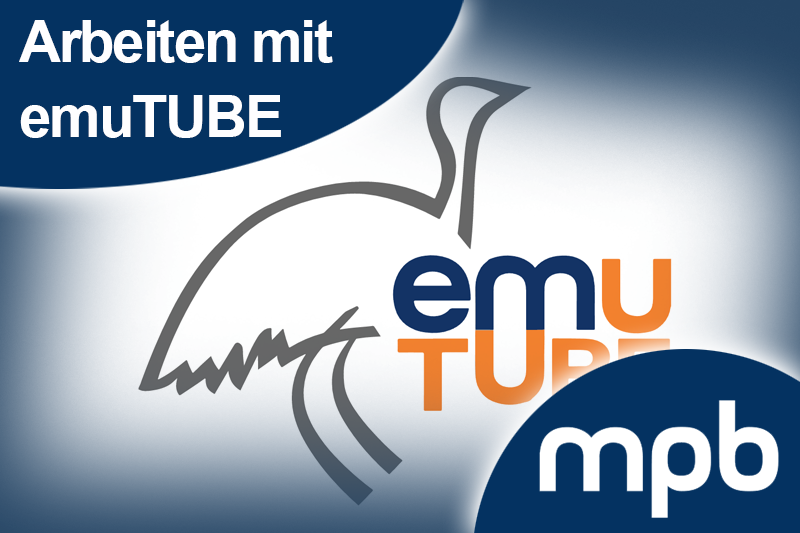 bild_angebot_emutube.png