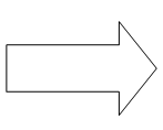 431.jpg