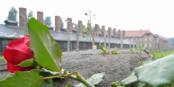 Auschwitz_hope_after_terror_400_200.jpg Auschwitz_hope_after_terror_400_200.jpg