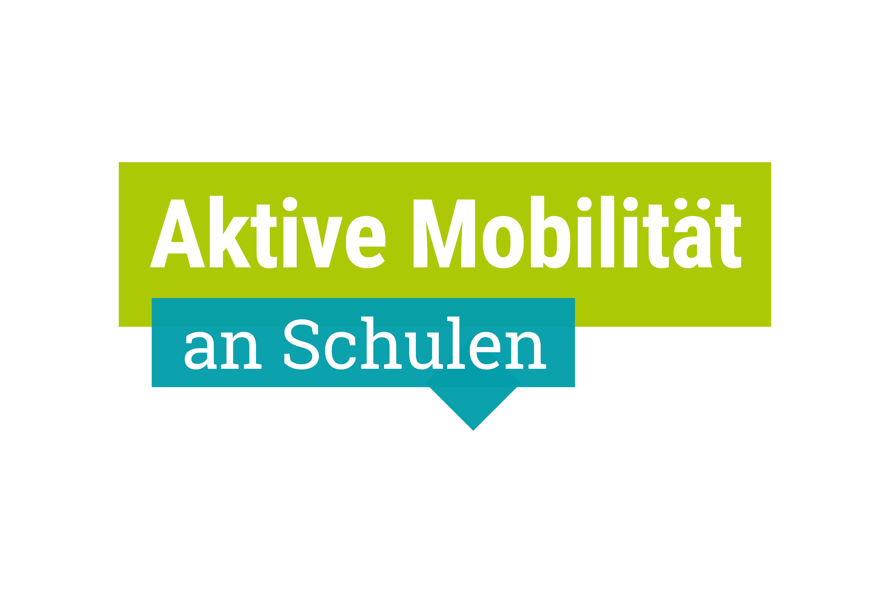 VCD_Key_Visual_Aktive_Mobilit_t_an_Schulen_RGB.png