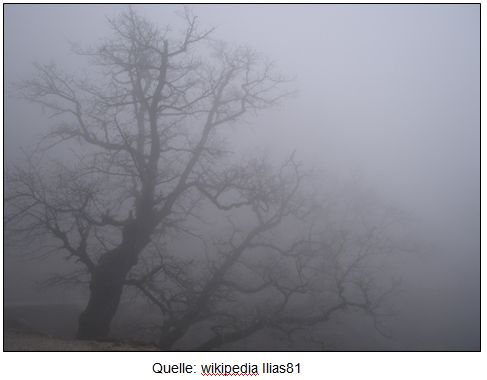 nebel.JPG