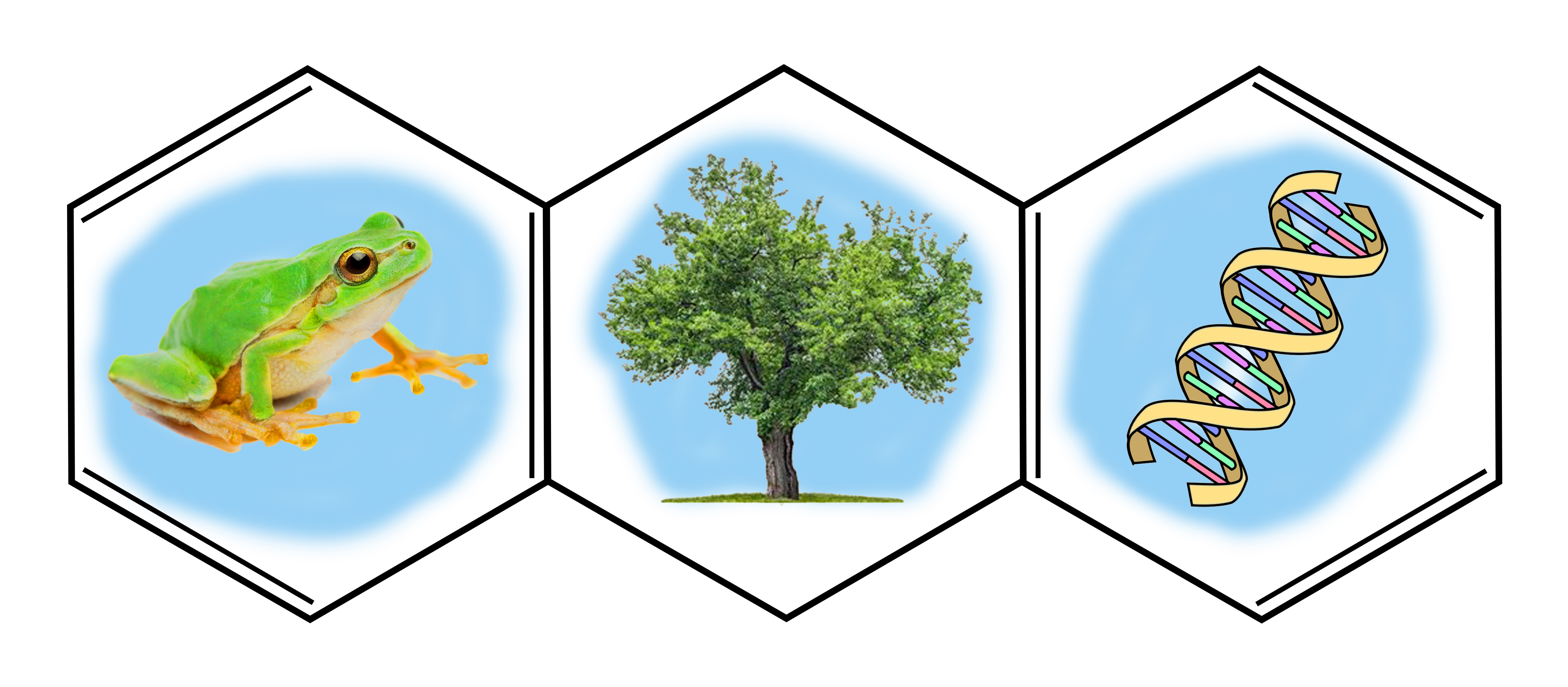 Logo_LBO_2021.jpg